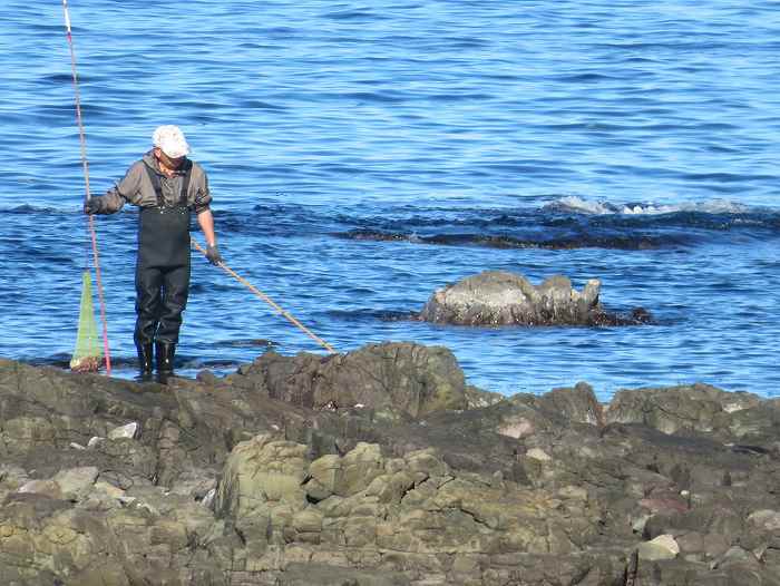 f:id:mannenNA:20191123182912j:plain f:id:mannenNA:20191123182912j:plain