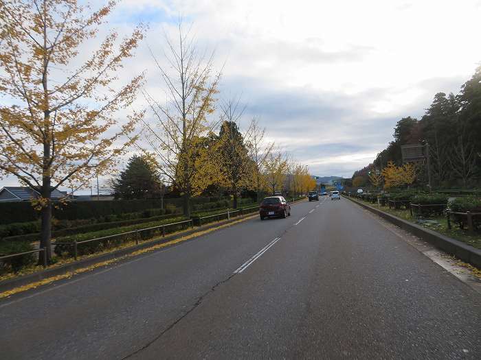 f:id:mannenNA:20191124155802j:plain f:id:mannenNA:20191124155802j:plain