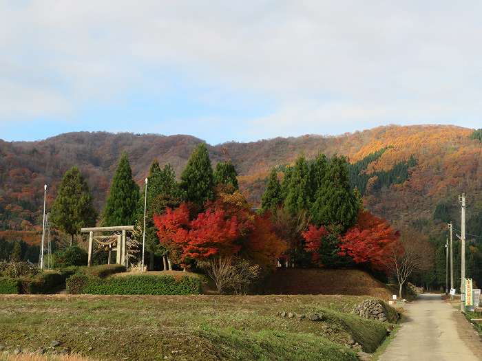 f:id:mannenNA:20191124155944j:plain f:id:mannenNA:20191124155944j:plain