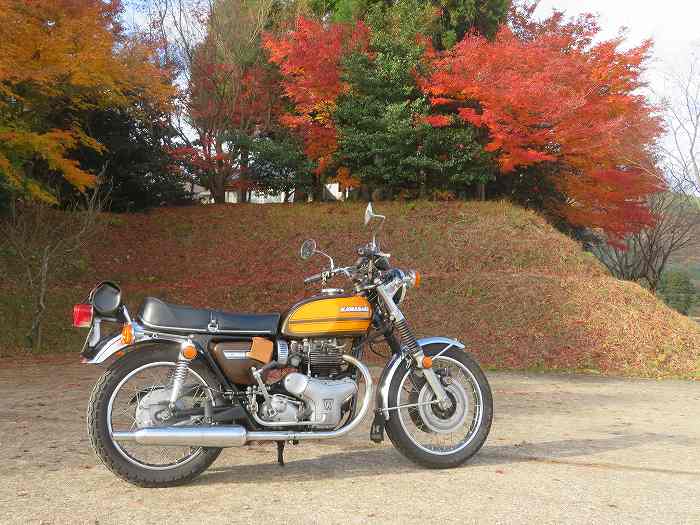 f:id:mannenNA:20191124160008j:plain f:id:mannenNA:20191124160008j:plain