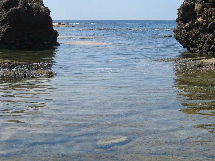 f:id:mannenNA:20191129230238j:plain