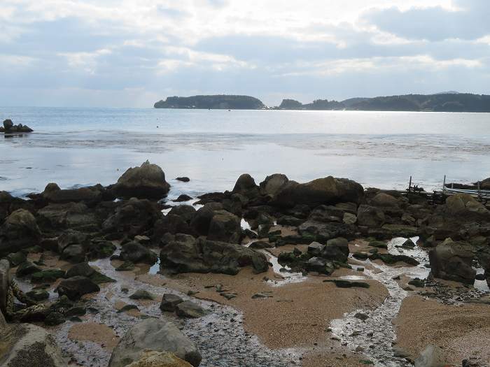 f:id:mannenNA:20191216213739j:plain