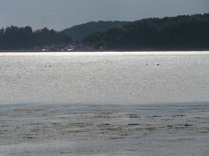 f:id:mannenNA:20191216213822j:plain