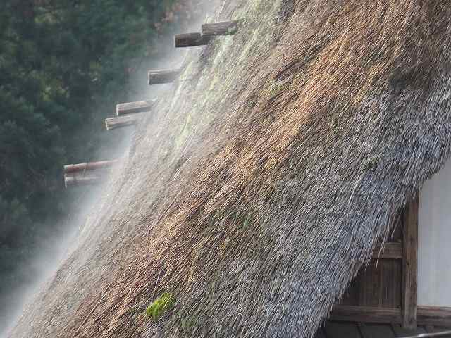 f:id:mannenNA:20200105121335j:plain