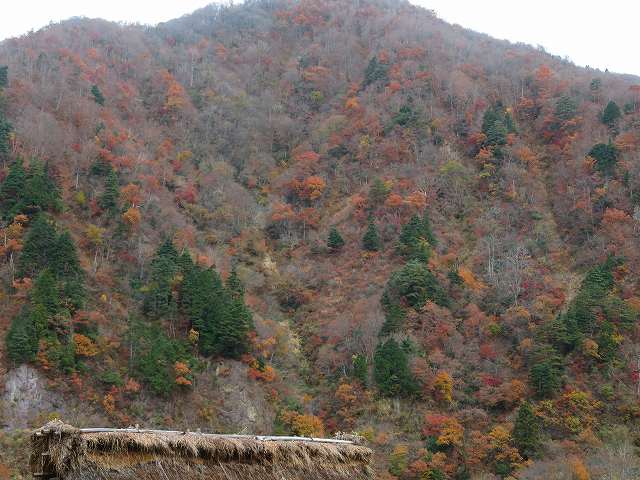 f:id:mannenNA:20200107172343j:plain