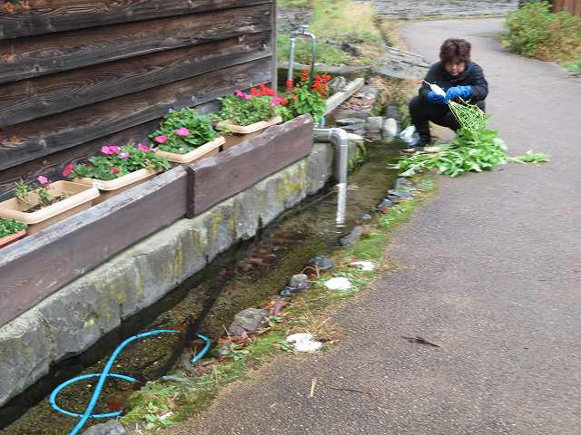 f:id:mannenNA:20200107172601j:plain