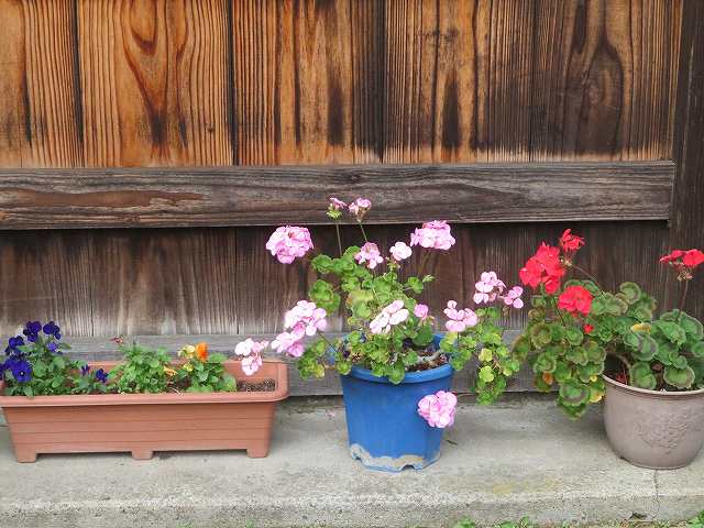 f:id:mannenNA:20200107172842j:plain