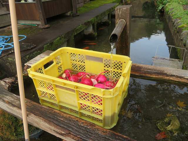 f:id:mannenNA:20200107172956j:plain