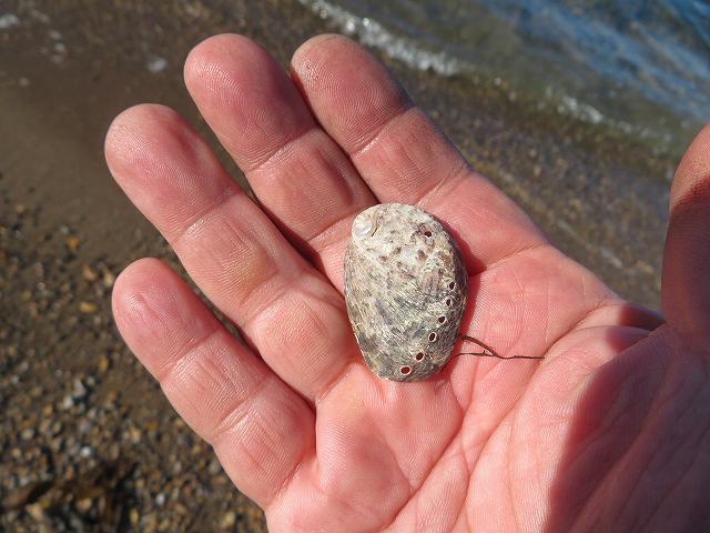 f:id:mannenNA:20200108181110j:plain