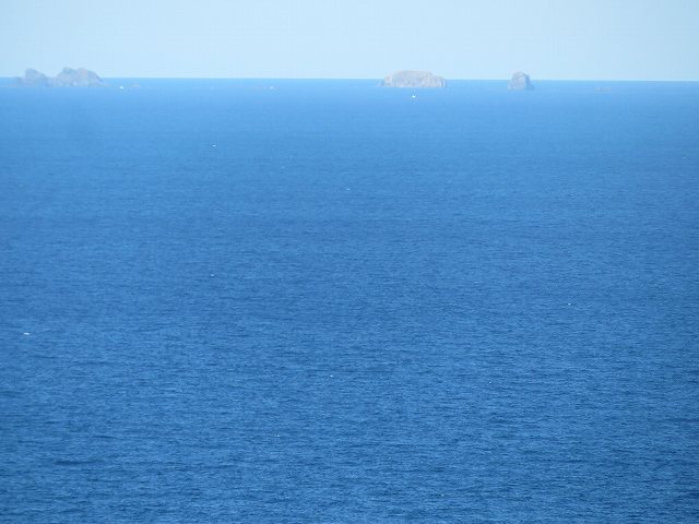 f:id:mannenNA:20200110180312j:plain