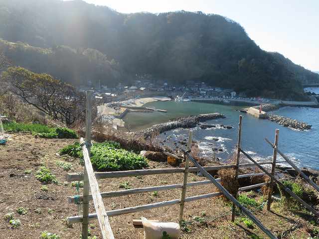 f:id:mannenNA:20200110180440j:plain