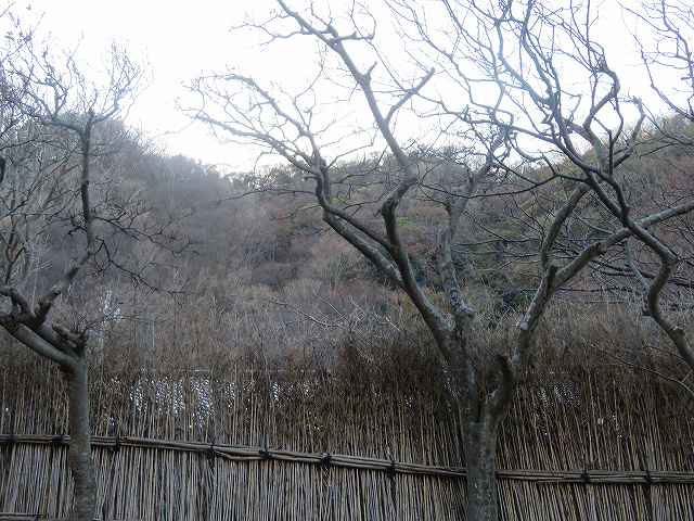 f:id:mannenNA:20200110182925j:plain