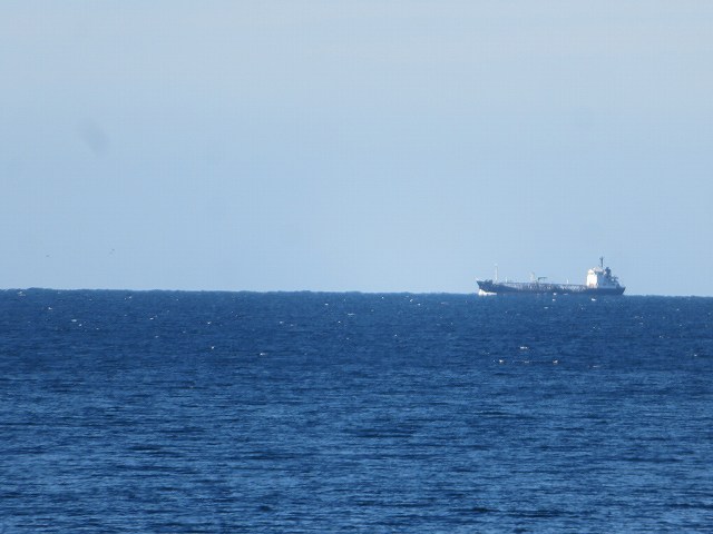 f:id:mannenNA:20200110183238j:plain