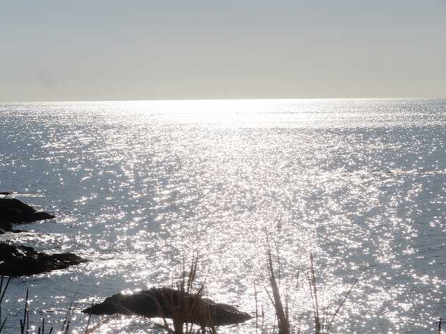 f:id:mannenNA:20200110183323j:plain