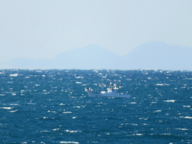 f:id:mannenNA:20200111180439j:plain