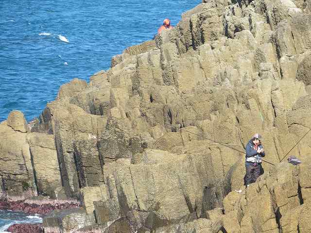 f:id:mannenNA:20200111180504j:plain