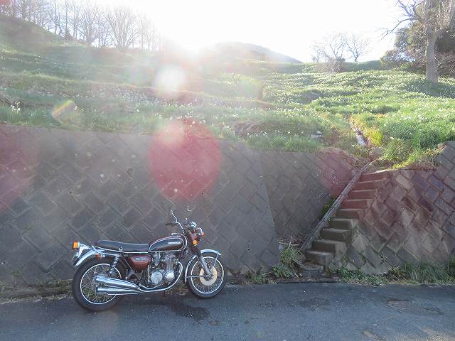 f:id:mannenNA:20200111180808j:plain