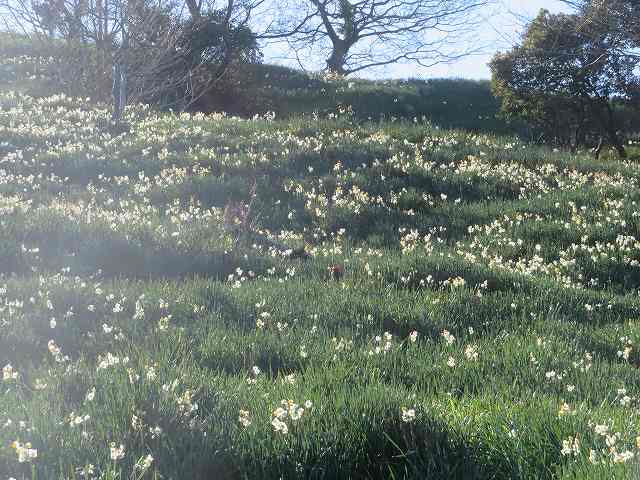 f:id:mannenNA:20200111180922j:plain