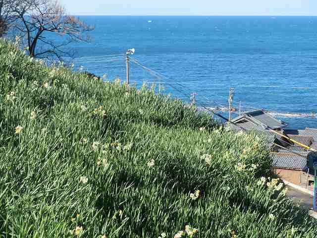 f:id:mannenNA:20200111181033j:plain