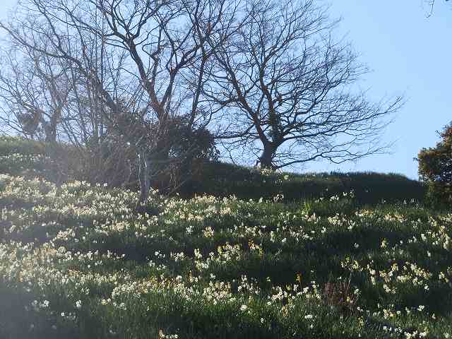 f:id:mannenNA:20200112165223j:plain f:id:mannenNA:20200112165223j:plain