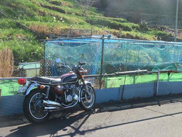 f:id:mannenNA:20200112165259j:plain f:id:mannenNA:20200112165259j:plain