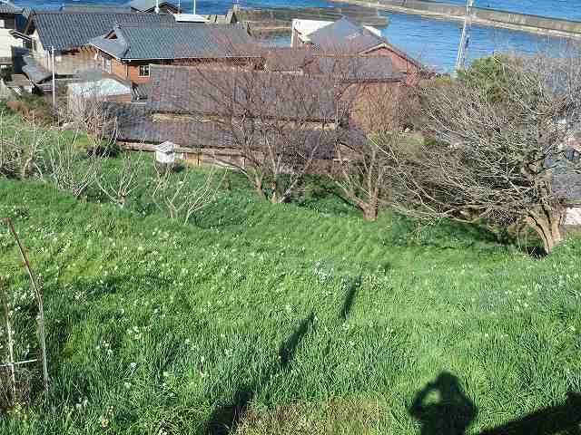 f:id:mannenNA:20200112165324j:plain f:id:mannenNA:20200112165324j:plain