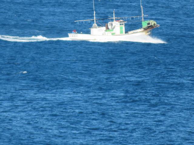 f:id:mannenNA:20200112165347j:plain f:id:mannenNA:20200112165347j:plain