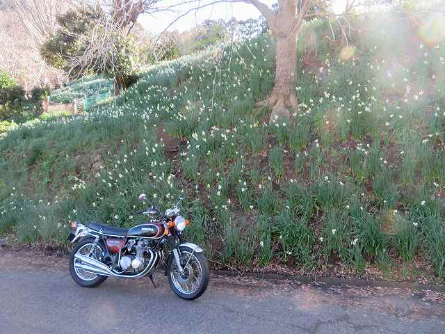 f:id:mannenNA:20200112165505j:plain f:id:mannenNA:20200112165505j:plain