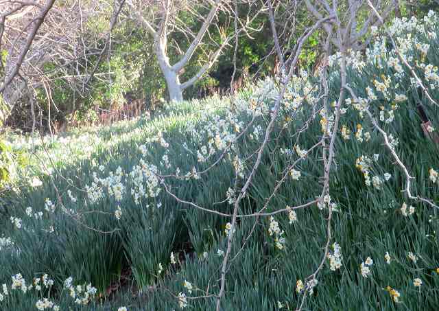 f:id:mannenNA:20200112165527j:plain f:id:mannenNA:20200112165527j:plain