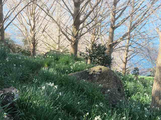 f:id:mannenNA:20200112165603j:plain f:id:mannenNA:20200112165603j:plain