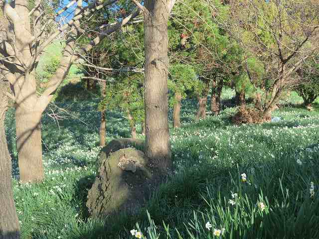 f:id:mannenNA:20200112165711j:plain f:id:mannenNA:20200112165711j:plain