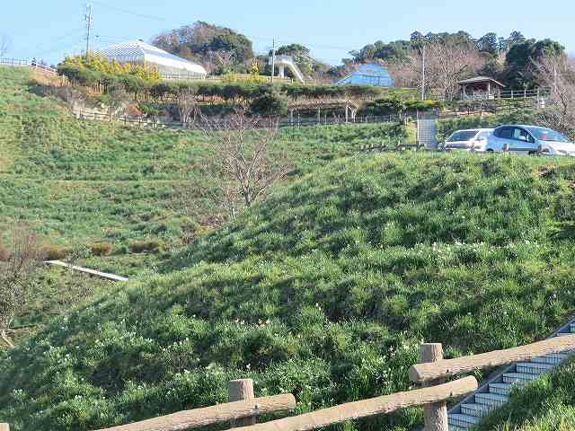 f:id:mannenNA:20200112165834j:plain f:id:mannenNA:20200112165834j:plain