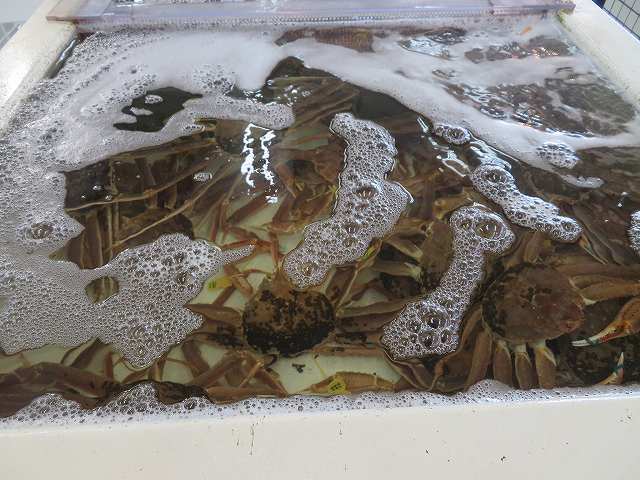 f:id:mannenNA:20200114164854j:plain