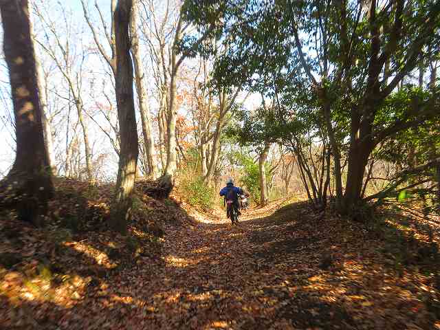 f:id:mannenNA:20200116174137j:plain f:id:mannenNA:20200116174137j:plain