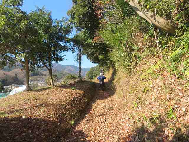 f:id:mannenNA:20200116174316j:plain f:id:mannenNA:20200116174316j:plain