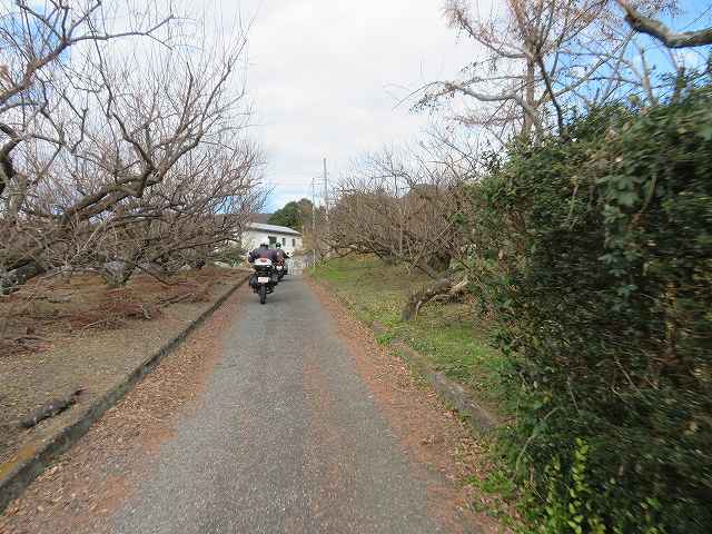 f:id:mannenNA:20200122194023j:plain f:id:mannenNA:20200122194023j:plain