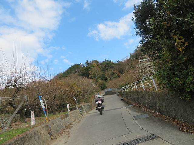 f:id:mannenNA:20200122194050j:plain f:id:mannenNA:20200122194050j:plain