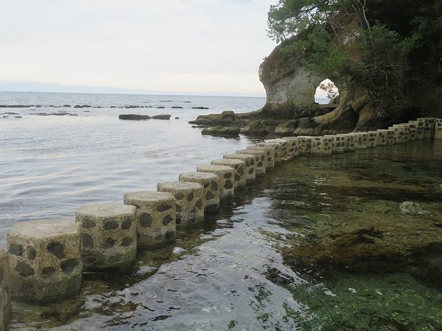 f:id:mannenNA:20200129190444j:plain f:id:mannenNA:20200129190444j:plain