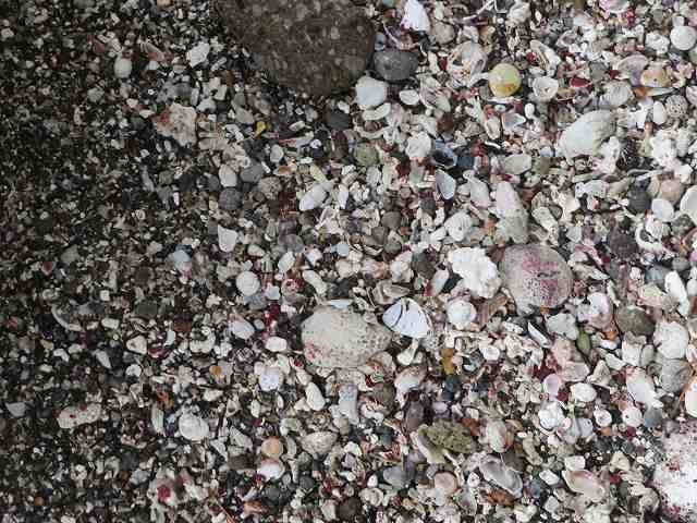 f:id:mannenNA:20200129190536j:plain f:id:mannenNA:20200129190536j:plain