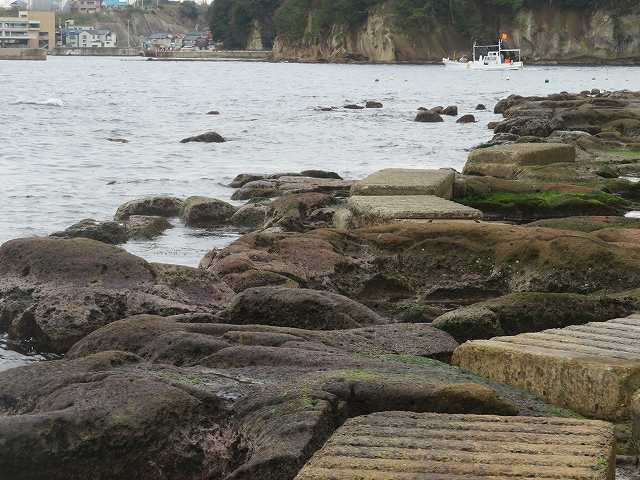 f:id:mannenNA:20200129190616j:plain f:id:mannenNA:20200129190616j:plain