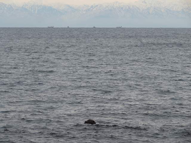 f:id:mannenNA:20200129190654j:plain f:id:mannenNA:20200129190654j:plain