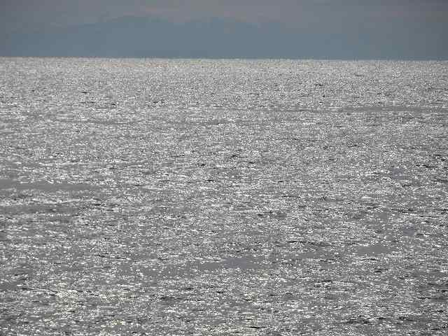 f:id:mannenNA:20200129191356j:plain f:id:mannenNA:20200129191356j:plain