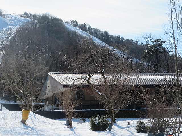 f:id:mannenNA:20200206181233j:plain