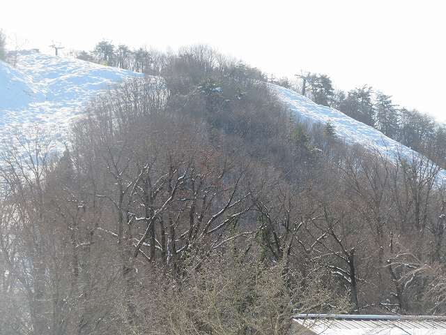 f:id:mannenNA:20200206181307j:plain