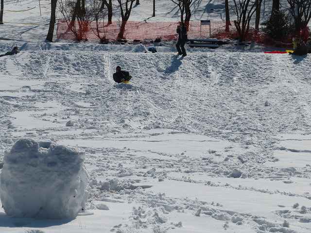 f:id:mannenNA:20200206181407j:plain