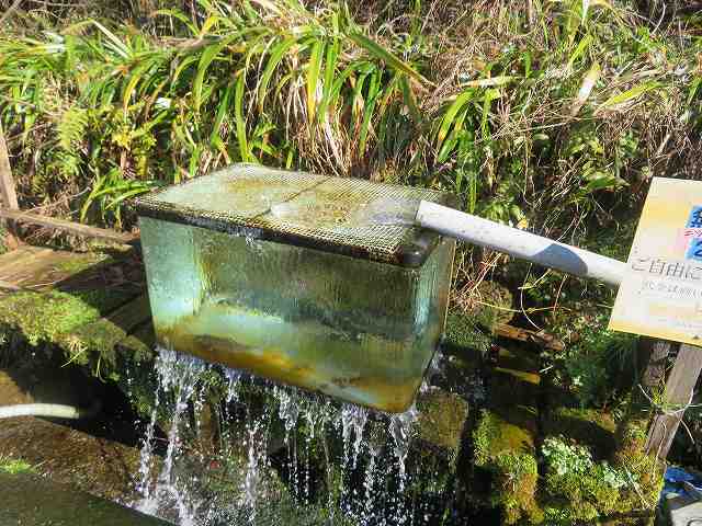 f:id:mannenNA:20200206181528j:plain