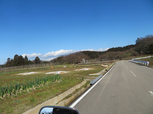 f:id:mannenNA:20200206181916j:plain