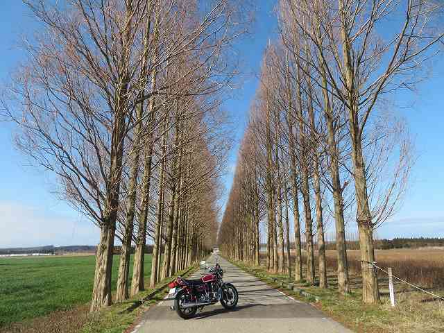 f:id:mannenNA:20200206182059j:plain