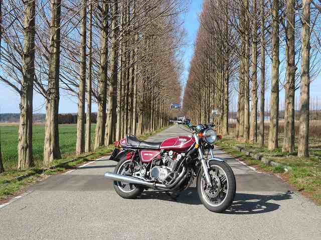 f:id:mannenNA:20200206182117j:plain