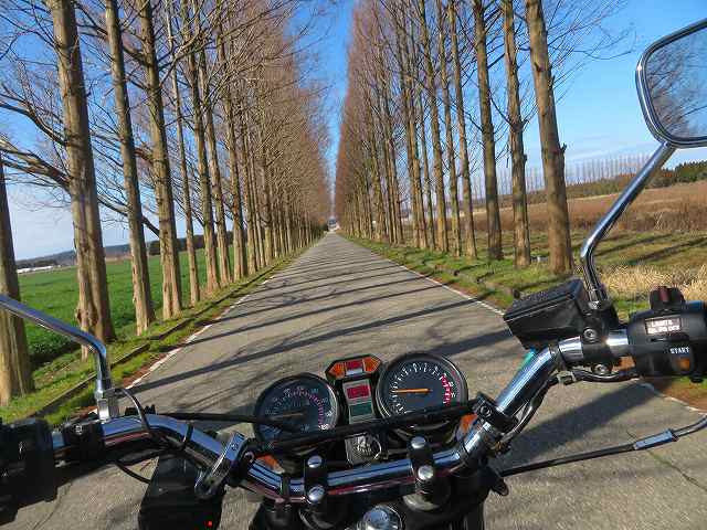 f:id:mannenNA:20200206182142j:plain